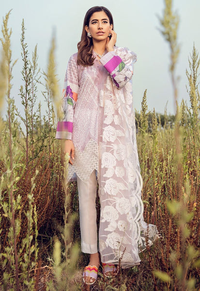 LILAC ORCHID