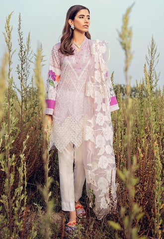 LILAC ORCHID